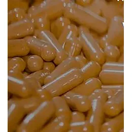 Capsule Manufacturing and Filling Services