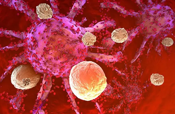 Immunofocus