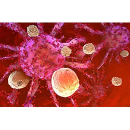 Immunofocus