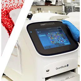 Oncofocus