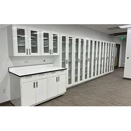 LABORATORY CABINETS