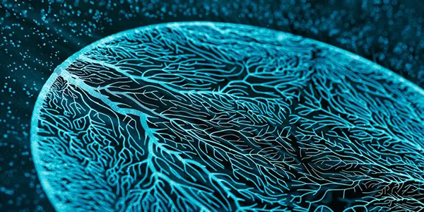 Drug development goes remote