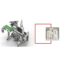 Top Bottom Tamper Proof Labeling Machine