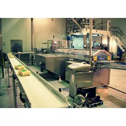 High Speed End Load Cartoner (to 120cpm)