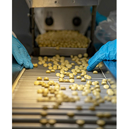 CUSTOM TABLET SUPPLEMENT MANUFACTURING