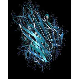 PB (RA)-2010 (Biosimilar candidate to Kineret®)