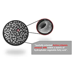Microencapsulation