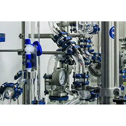 Preformulation Studies