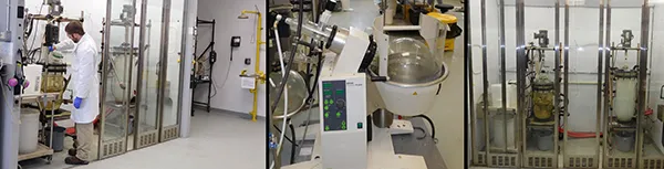 Preclinical