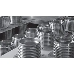 Expansion Joints