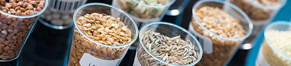 Food Quality Analyzers