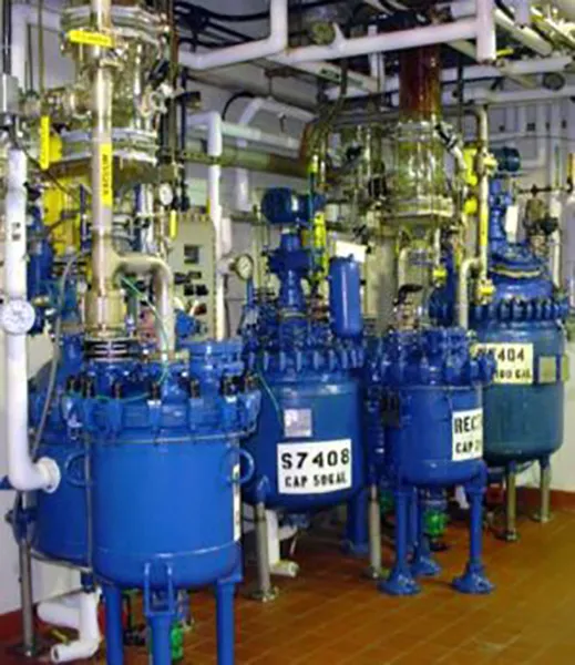 PILOT AND COMMERCIAL SCALE MANUFACTURING