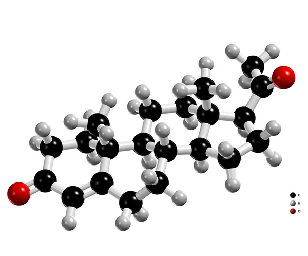 Enviero Progesterone