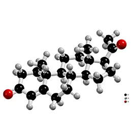 Enviero Progesterone