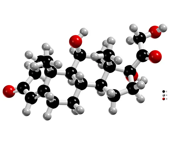 Hydrocortisone