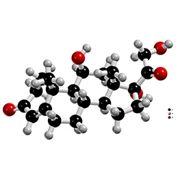 Hydrocortisone