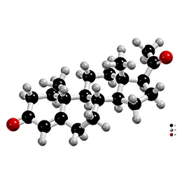 Progesterone