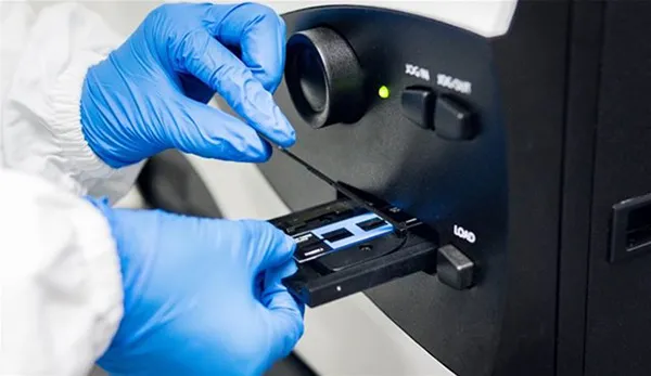 Genetic Toxicology