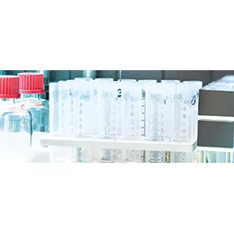 Custom Peptide Synthesis