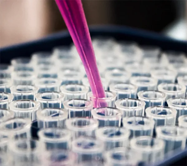 Anthrax Vaccine