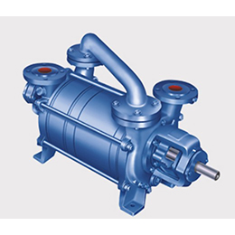 Two Stage Vacuum Pumps - Double Stage Water Ring Vacuum Pump