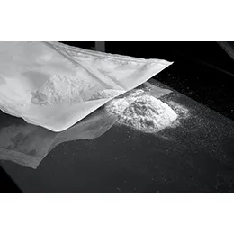 Bulk Lyophilization Development