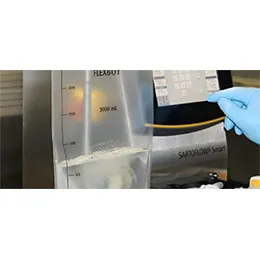 Accelerated Downstream Process Development
