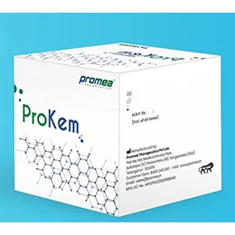 ProKem