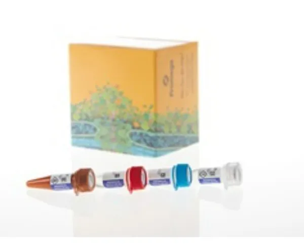 Lumit Immunoassay Labeling Kit and Detection Reagents