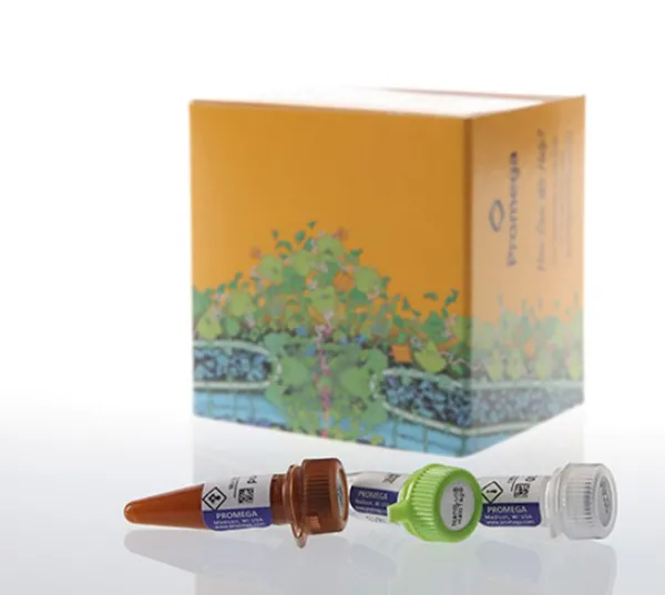 NanoLuc Labeling System