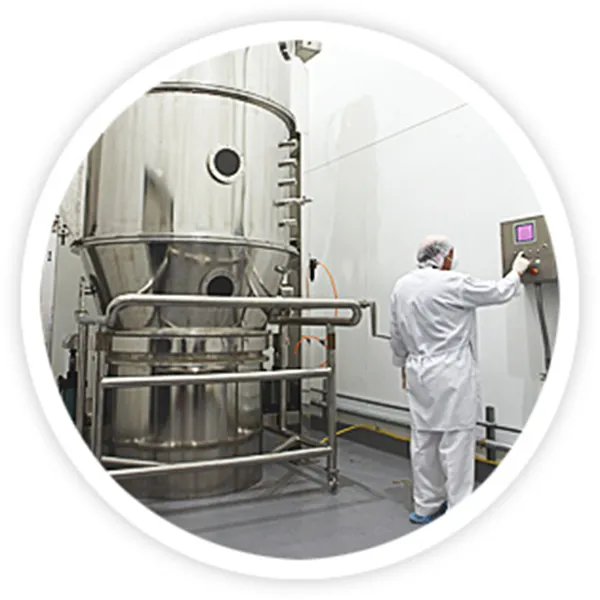 Granulation – Fluid Bed