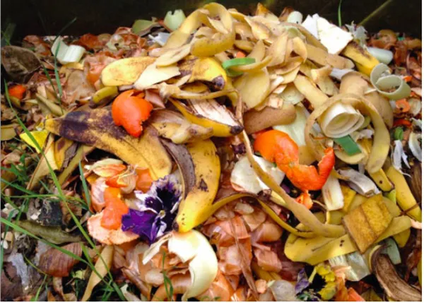 Bio-waste decontamination systems