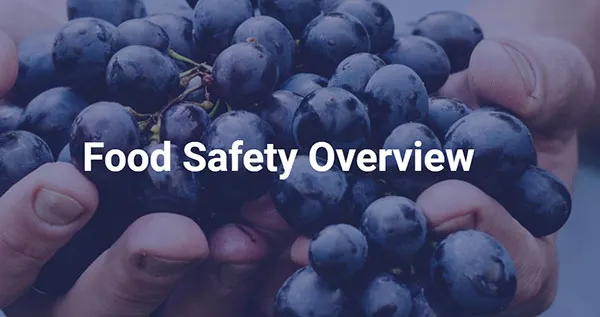 Food Safety Overview