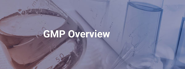 GMP Overview