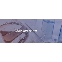 GMP Overview