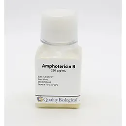 Amphotericin B