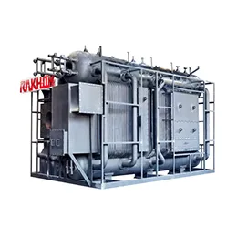 Bi-Drum-D Type-Power X Boiler