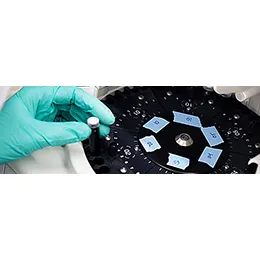 Formulation development