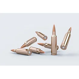 AMMUNITION