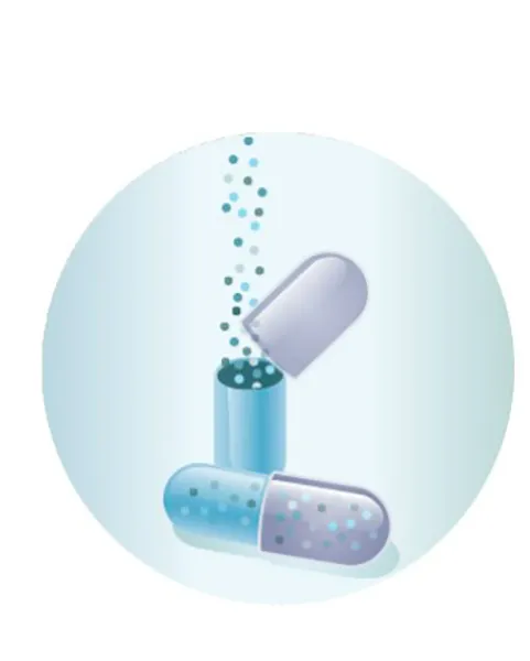 ENCAPSULATION
