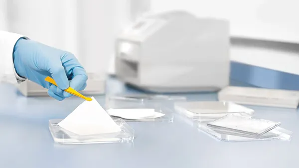 Blotting Paper & Membranes
