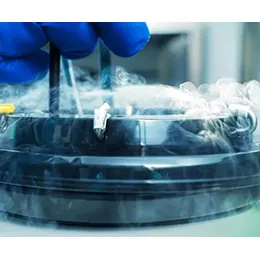 Cold chain logistics