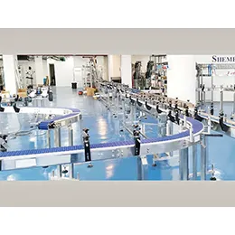 Automatic Conveyor Systems