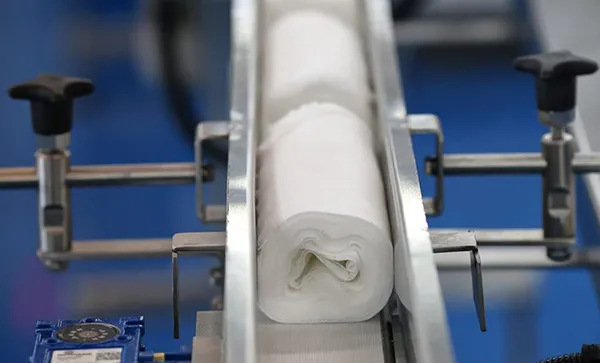 Rolls Feed Conveyor