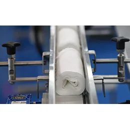 Rolls Feed Conveyor