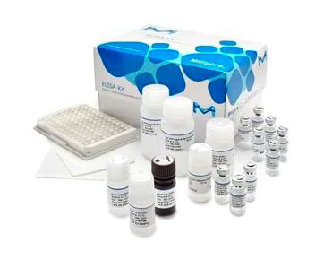 Enzyme-Linked Immunosorbent Assay (ELISA) Kits
