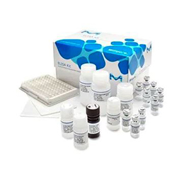 Enzyme-Linked Immunosorbent Assay (ELISA) Kits