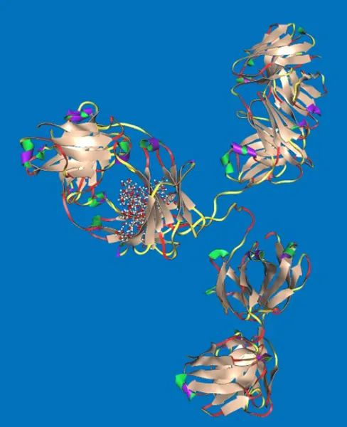 ANTIBODIES