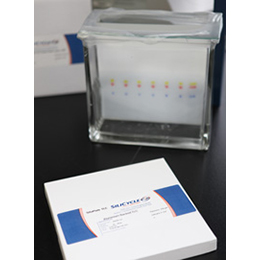 SiliaPlate-Thin Layer Chromatography (TLC)