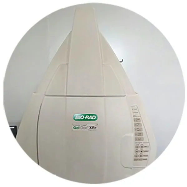 Bio Pharma Services